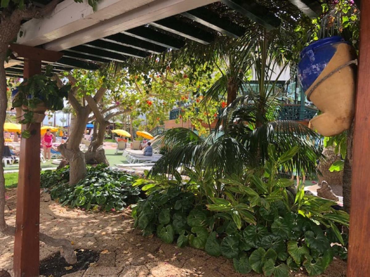 דירות פלאייה דה לאס אמריקס Wonderland With The Best Swimming Pool In Park S III מראה חיצוני תמונה